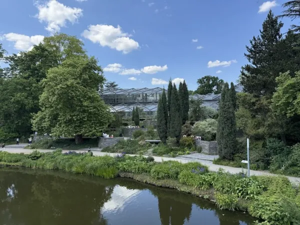 Alter botanischer Garten