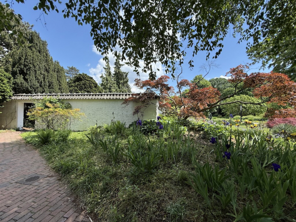 Apothekergarten - Planten un Blomen