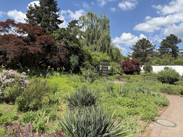 Apothekergarten - Planten un Blomen