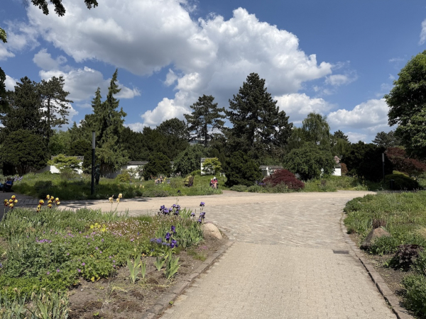 Apothekergarten - Planten un Blomen