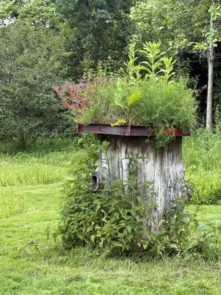 Bienenvolk vom IMKERVERBAND HAMBURG E.V.