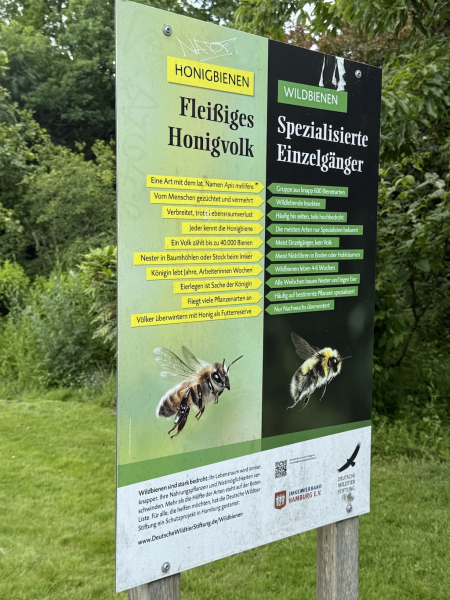 Bienenvolk vom IMKERVERBAND HAMBURG E.V.