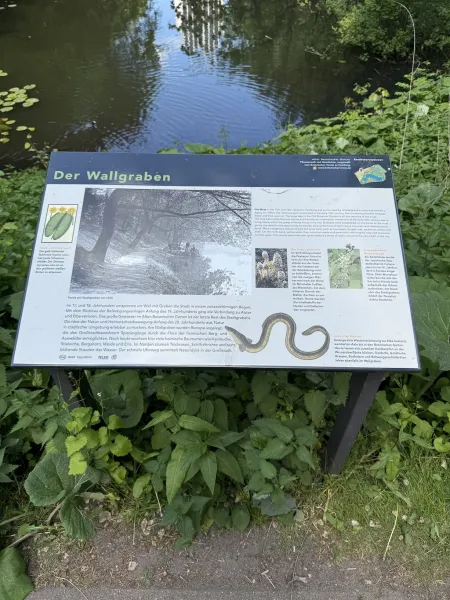 Der Wallgraben