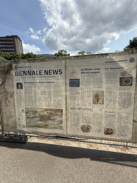 Garten der Wildpflanzen - große Wallanlagen