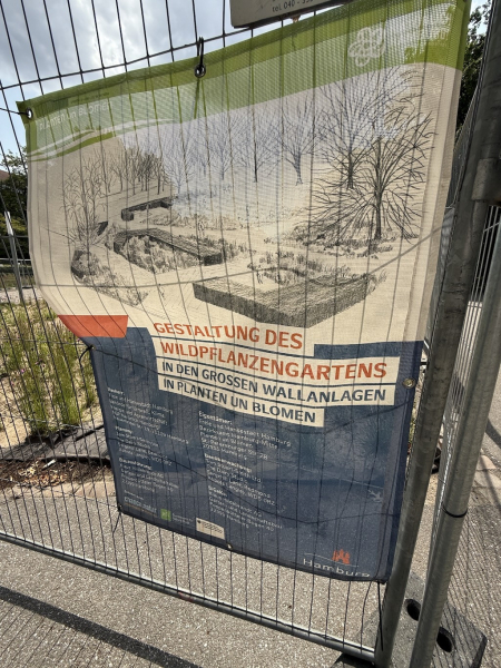 Garten der Wildpflanzen - große Wallanlagen