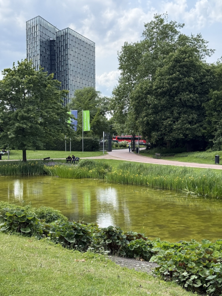 Große Wallanlagen - Bilder & Eindrücke