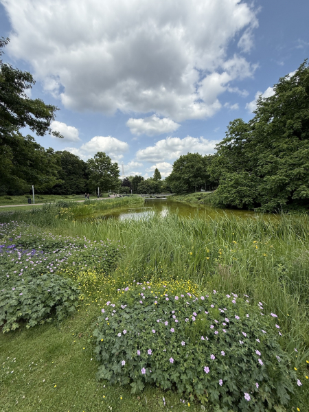 Große Wallanlagen - Bilder & Eindrücke