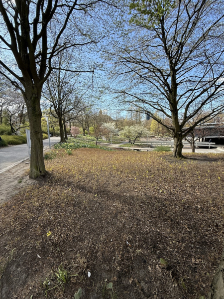 Großer Spielplatz – Große Wallanlagen