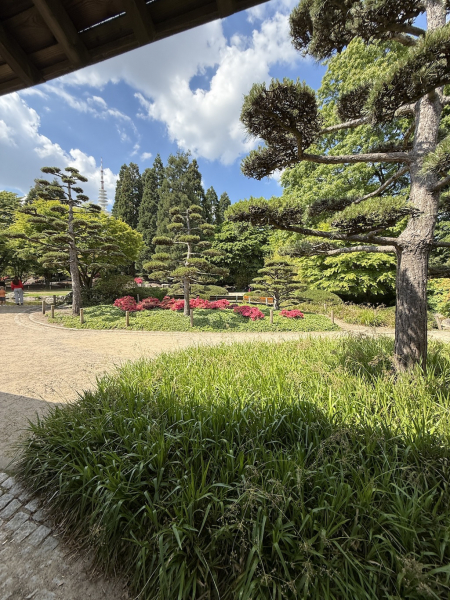 Japanischer Garten mit Teehaus