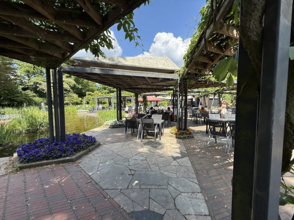 Livotto Junior Eis Planten un Blomen