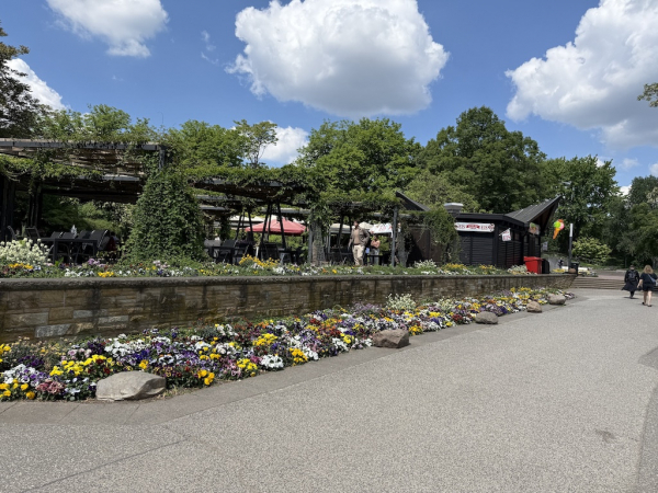 Livotto Junior Eis Planten un Blomen