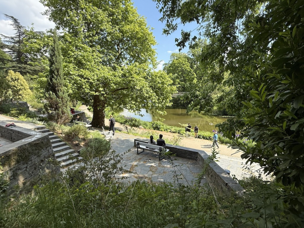 Mittelmeerterrassen im alten botanischen Garten
