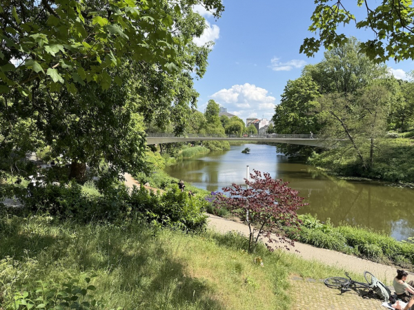 Mittelmeerterrassen im alten botanischen Garten