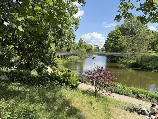 Mittelmeerterrassen im alten botanischen Garten
