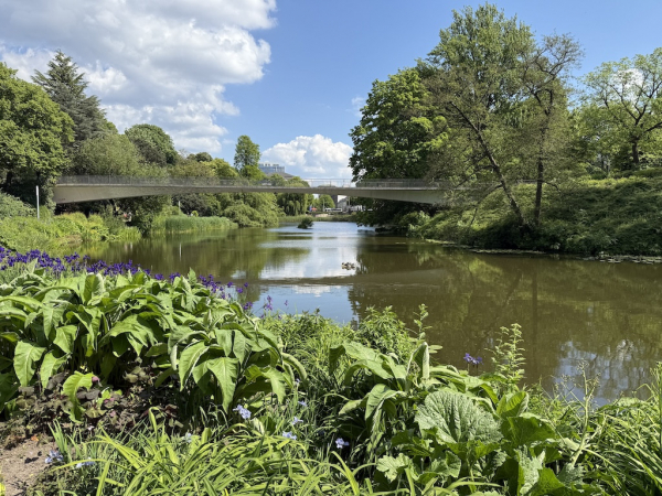 Mittelmeerterrassen im alten botanischen Garten