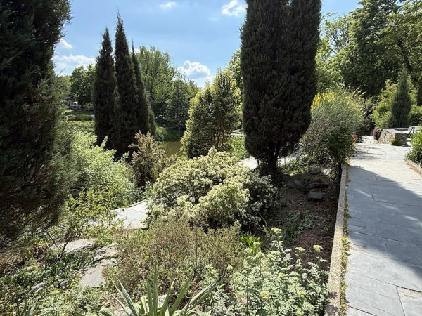 Mittelmeerterrassen im alten botanischen Garten