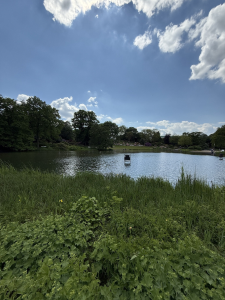 Parksee mit Wasserlicht-Orgel