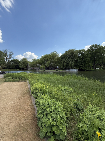 Parksee mit Wasserlicht-Orgel