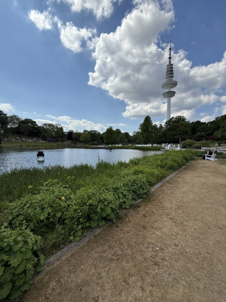 Parksee mit Wasserlicht-Orgel