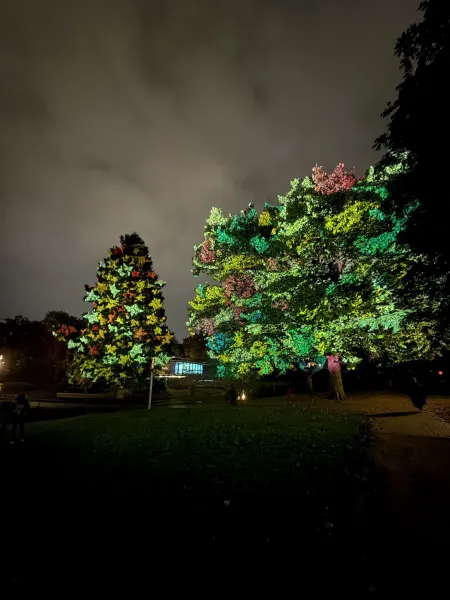 Planten un Lumen 20225