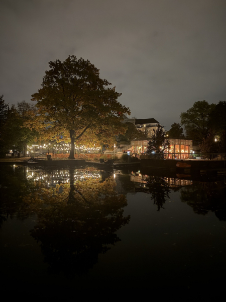 Planten un Lumen 20225