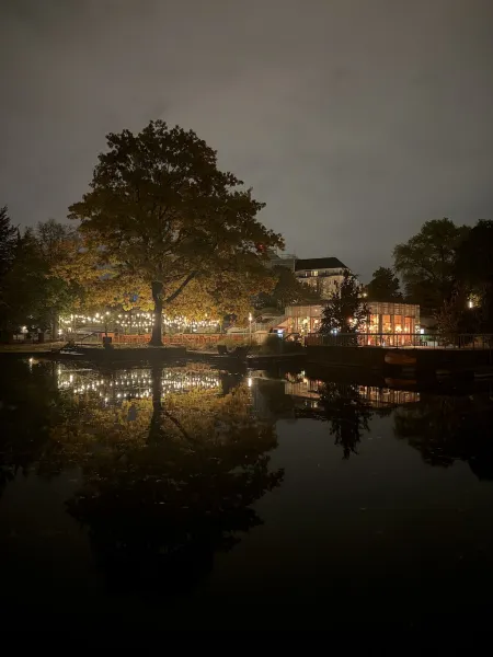 Planten un Lumen 20225