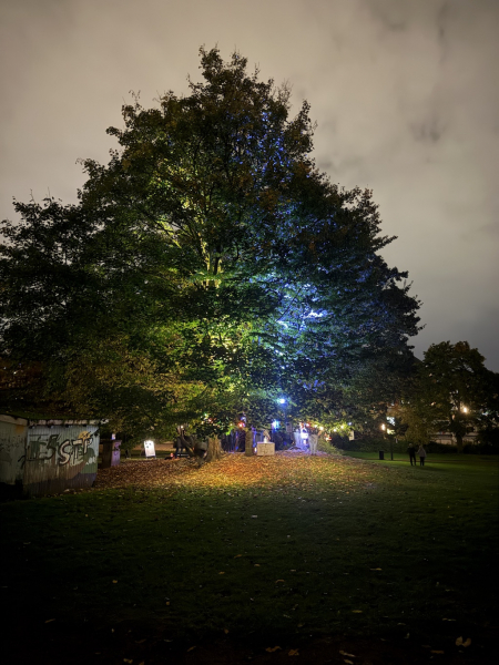 Planten un Lumen 20225