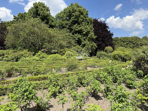 Rosengarten Planten un Blomen
