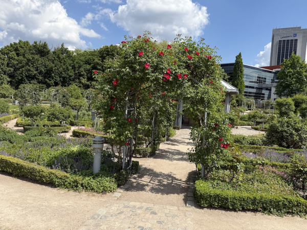 Rosengarten Planten un Blomen