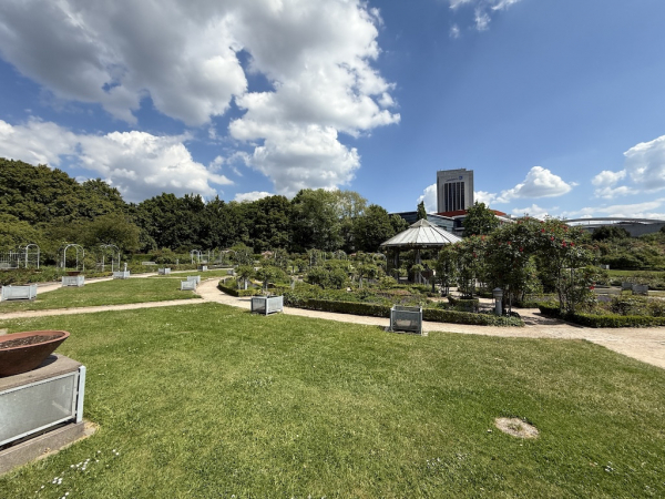 Rosengarten Planten un Blomen