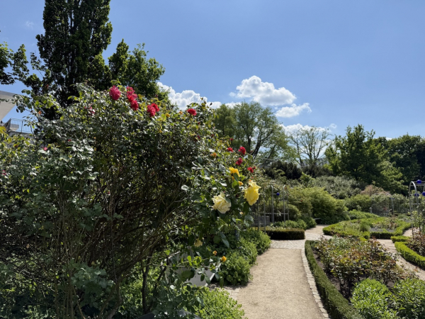 Rosengarten Planten un Blomen