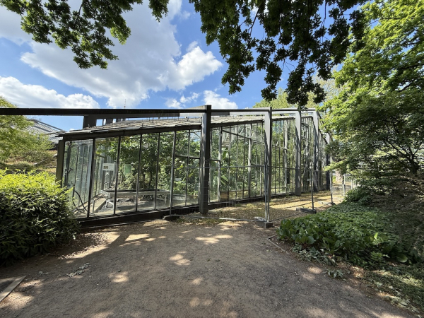 Tropengewächshäuser im alten botanischen Garten
