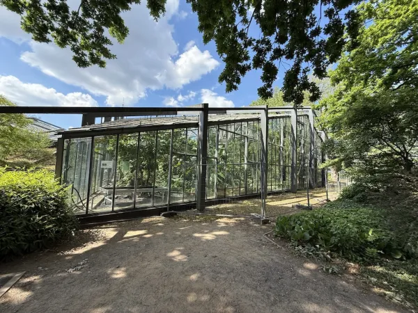Tropengewächshäuser im alten botanischen Garten