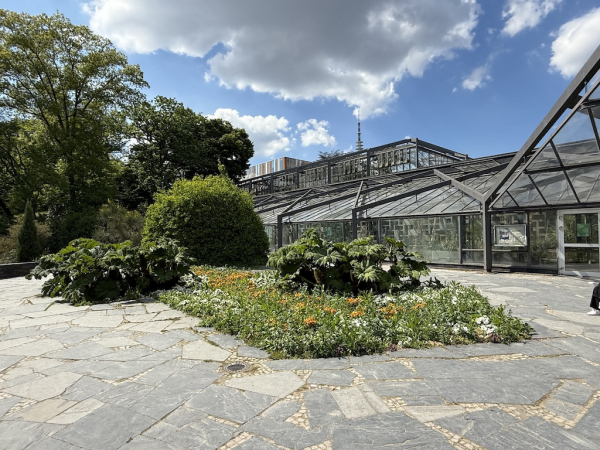 Tropengewächshäuser im alten botanischen Garten
