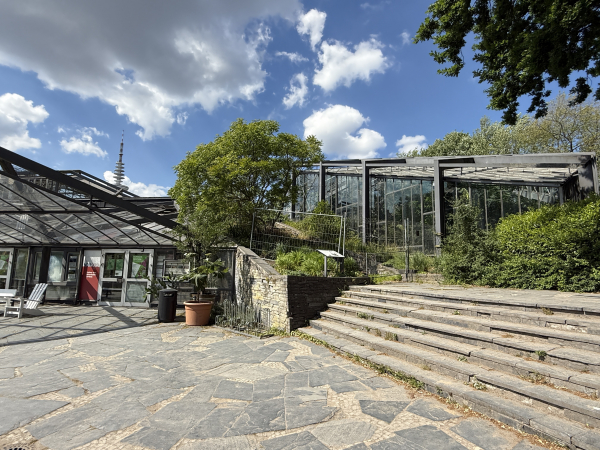 Tropengewächshäuser im alten botanischen Garten
