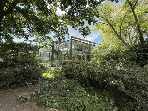 Tropengewächshäuser im alten botanischen Garten