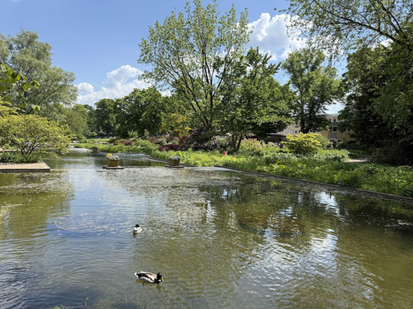 Wasserkaskaden Planten un Blomen