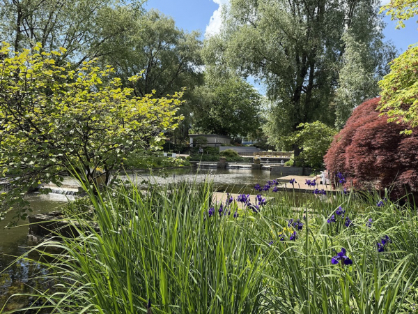 Wasserkaskaden Planten un Blomen